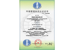 济南凌云鞋业有限公司-EMS中文