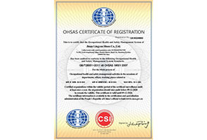 济南凌云鞋业有限公司-OHSMS英文