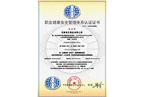 济南凌云鞋业有限公司-OHSMS中文